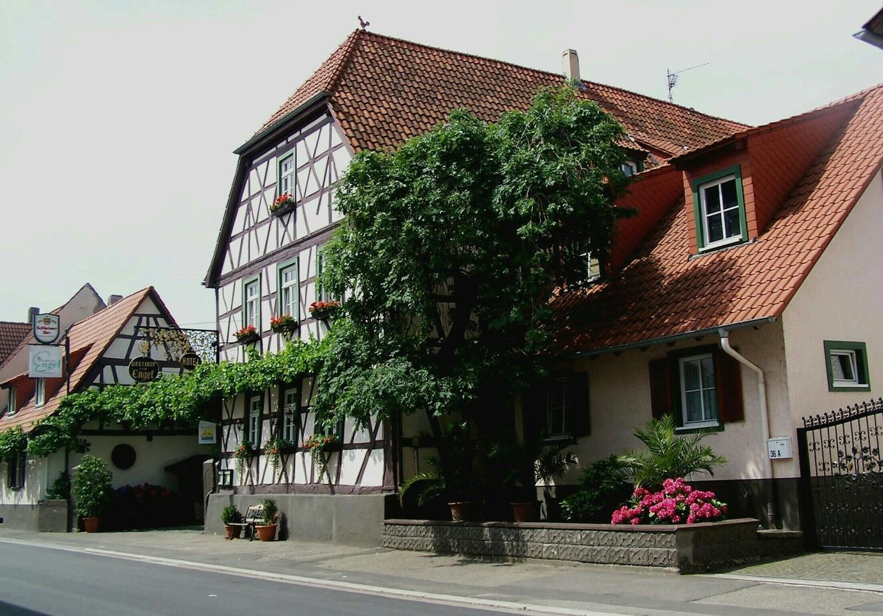 Hotel Zum Engel In Speyer - Roemerberg Berghausen  Eksteriør bilde